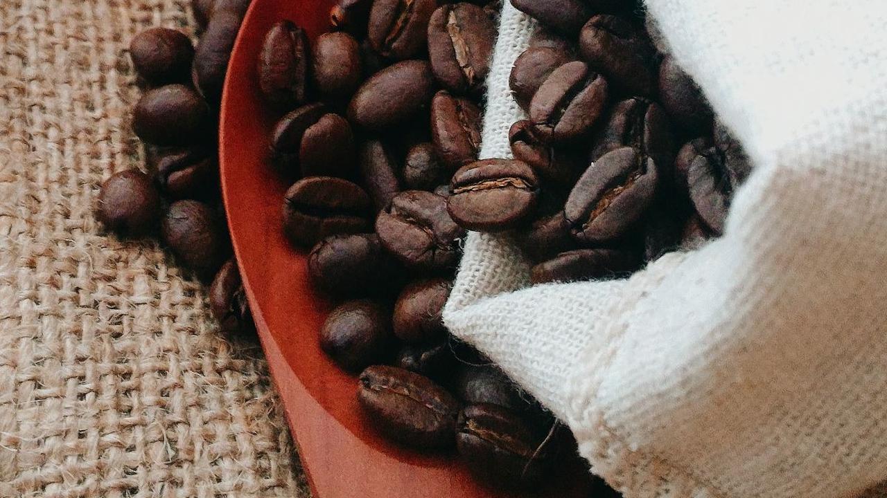 Perbedaan Robusta dan Arabika dan Karakteristiknya, Pencinta Kopi Wajib Tahu