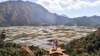 Bukit Selong menyuguhkan pemandangan yang menawan (sumber: wanderersandwarriors)