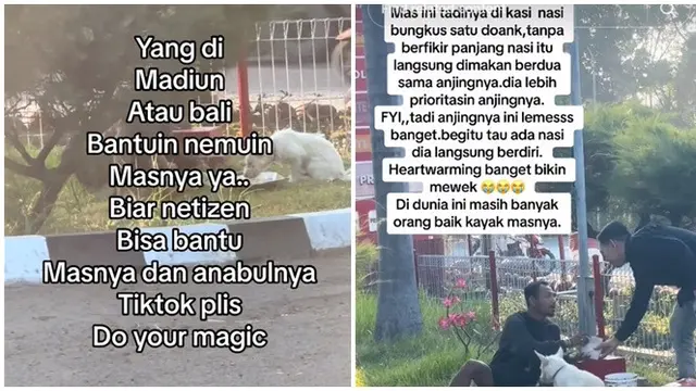 Viral Momen Pria Makan Bareng Anjingnya Ini Bikin Haru, Tidak Jijik Sama Sekali
