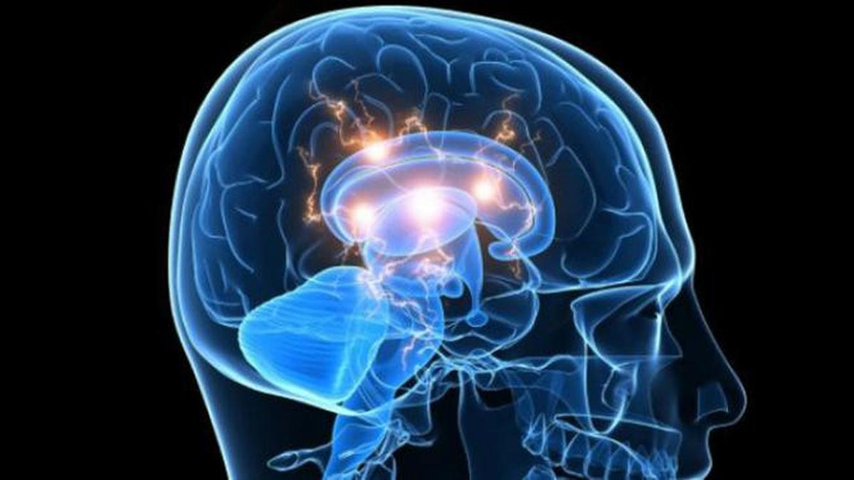 Meningkatkan Energi dan Fungsi Otak