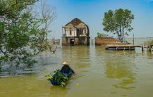 FOTO: Semangat Wanita Mangrove Tetap Bertahan di Rumahnya yang Dikelilingi Laut