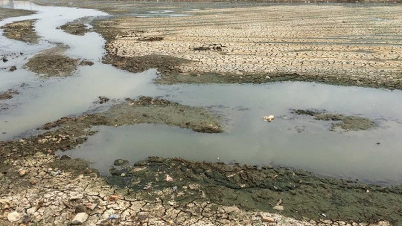 Kondisi Waduk Ria Rio yang kering kerontang akibat kemarau panjang