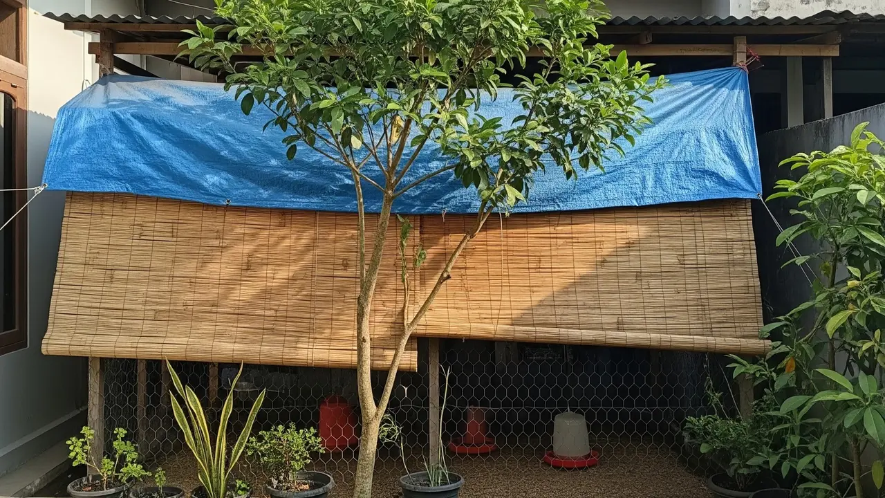 6 Posisi Kandang Ayam yang Tidak Kena Panas Langsung, Produktivitas Optimal