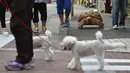 Ketika orang suka memelihara anjing atau kucing, Hisao Mitani (62) memilih seekor kura-kura Afrika. Hisao memberi nama kura-kuranya Bon-chan. Ia pelihara selama 19 tahun dan menganggapnya seperti anak sendiri. (AFP Photo/Kazuhiro Nogi)