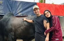 Potret Sapi-Sapi Jumbo Artis Indonesia di Idul Adha 2025, Punya Sonny Septian 1,2 Ton Hadiah dari Raffi Ahmad