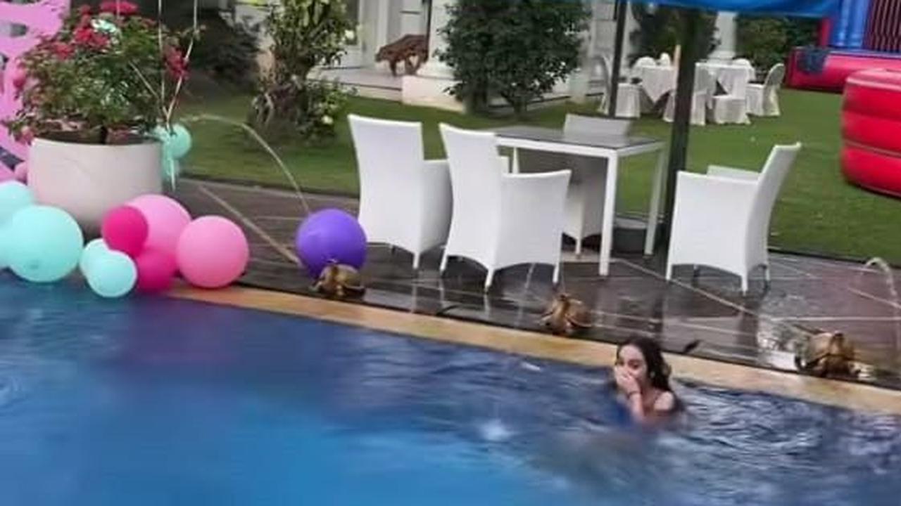 Terlihat Memukau