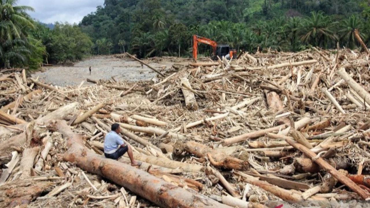 Guru Besar UGM Sebut Alih Fungsi Lahan Jadi Penyebab Habitat Satwa Liar Tergusur dan Bencana Alam di Sumatera
