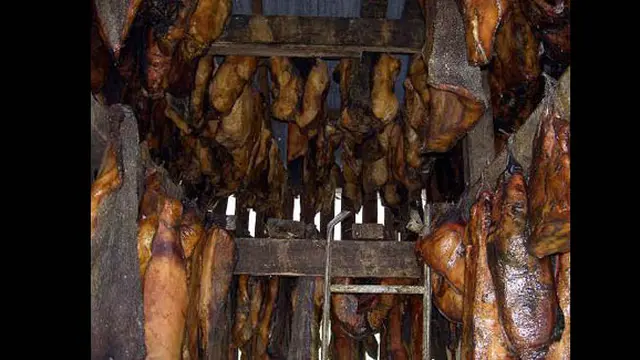 Foto: copyright openjourney.com