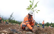 Pemulihan Pasca-Tambang, Lahan SIG Seluas 32,4 Hektare Mulai Alih Fungsi Tempat Hidup Keanegakaragaman Hayati