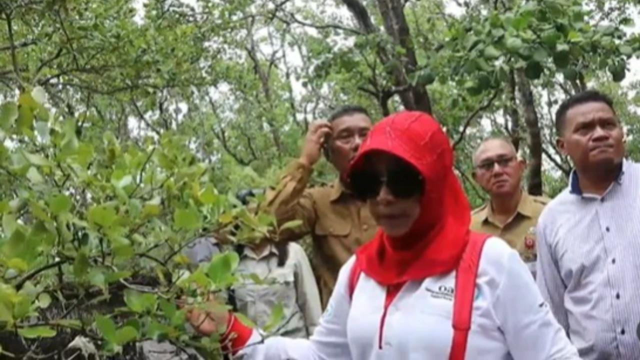 TNI Berduka Cita Istri Wiranto Meninggal Dunia