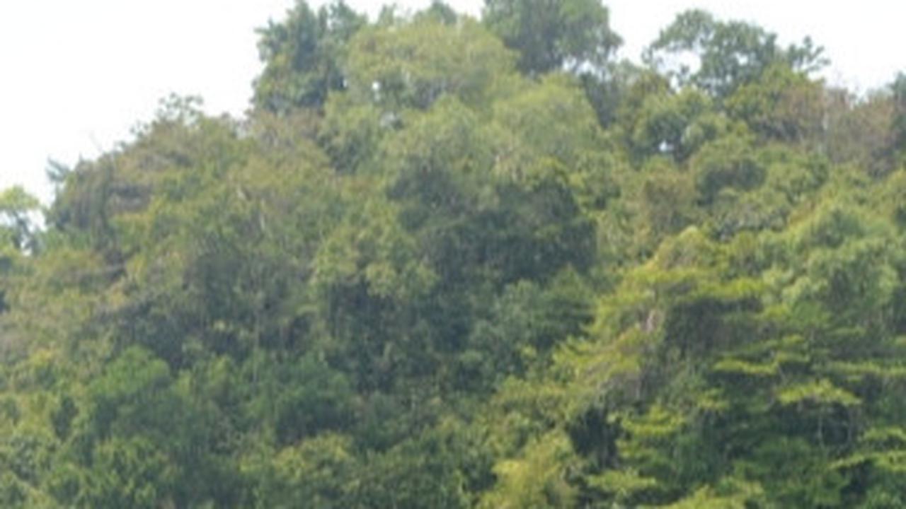 10 Wisata Cilacap Populer yang Patut Disambangi, Ini Daftarnya