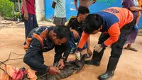 Warga Coba Keberuntungan Mancing Ikan dari Dapur Restoran Apung, Malah Dapat Buaya