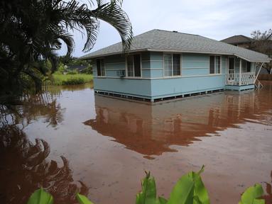 Sebuah rumah di Jalan Haleiwa dikelilingi air banjir di Hawaii (9/3/2021). Negara bagian Hawaii Amerika Serikat (AS) kini dalam status keadaan darurat. Ini diumumkan langsung Gubernur David Ige, Selasa (9/3/2021) waktu setempat. (Jamm Aquino/Honolulu Star-Advertiser via AP)