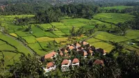 Vila Bernuansa Menenangkan di Daerah Matahari Terbit, Sanur Bali. foto: istimewa
