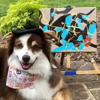 Seekor anjing asal Amerika Serikat bernama Ivy mencuri perhatian publik berkat bakatnya yang tak biasa. Tak kalah kreatif dengan manusia, anjing berusia 9 tahun ini memiliki bakat melukis. (Instagram/ivykitetheaussie).