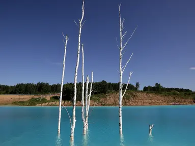 Pemandangan tempat pembuangan abu dari pabrik batubara lokal yang sering disebut 'Maladewa di Siberia' di Danau Novosibirsk, Rusia, Kamis (11/7/2019). Danau buatan yang memiliki hijau muda cerah atau turqoise tersebut kini tengah menjadi viral di media sosial Instagram. (Rostislav NETISOV/AFP)