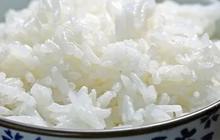 Beras Lagi Mahal, Ini Cara Simpan Nasi Supaya Lebih Awet Tapi Tetap Enak