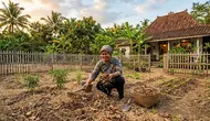 5 Cara Menyuburkan Tanah Kering di Halaman Tanpa Sering Menyiram, Efektif dan Simpel