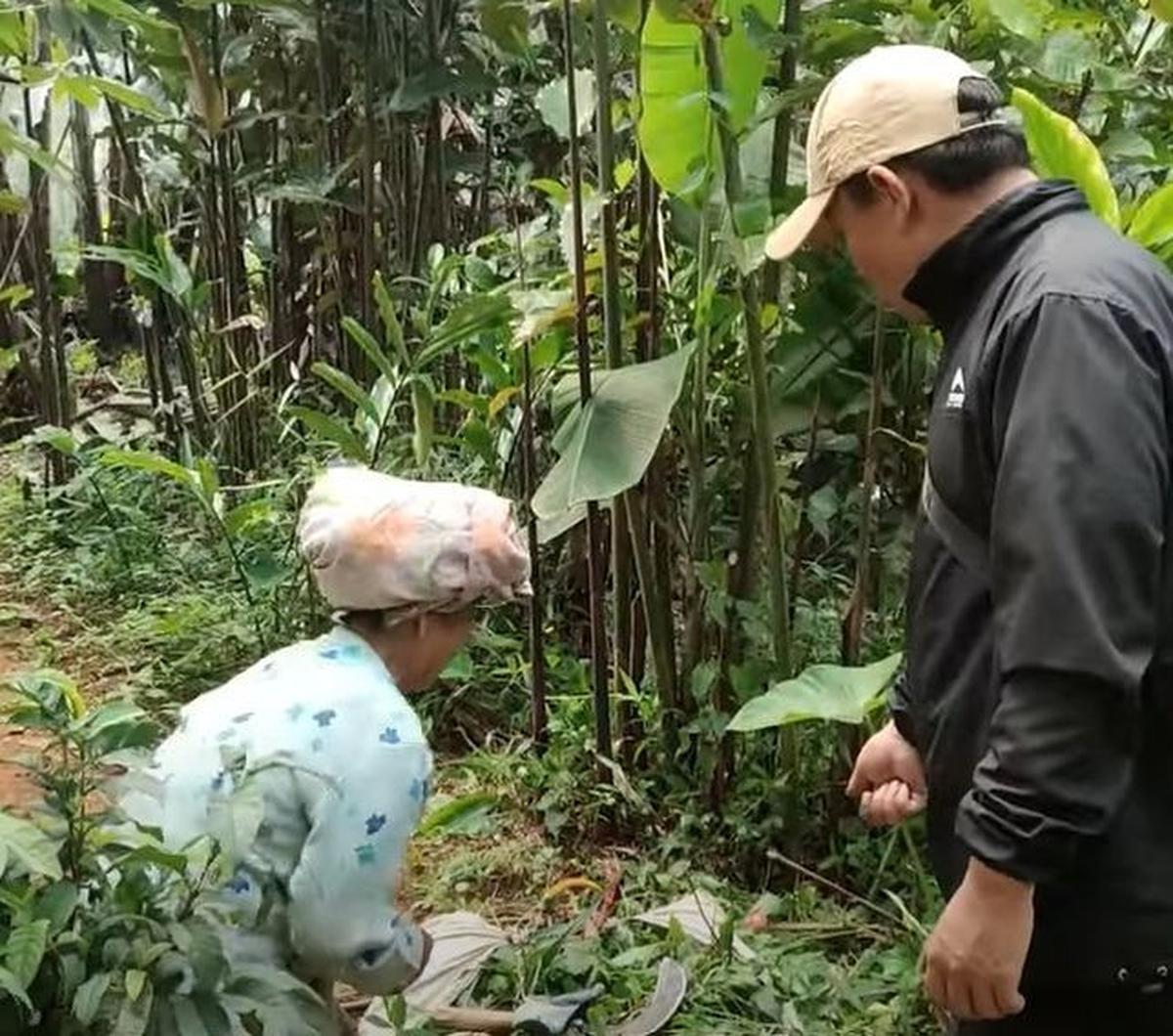 Kehidupan nenek yang disapa emak Ebah Ini, dipanggil emak oleh Eri. Dalam konten tersebut, ia terlihat sedang mengarit untuk pakan kambing.<br>"Emak Ebah sedang ambil rumput untuk pakan kambing," kata Eri sambil menunjukkan kadang kambing.  <br><br>