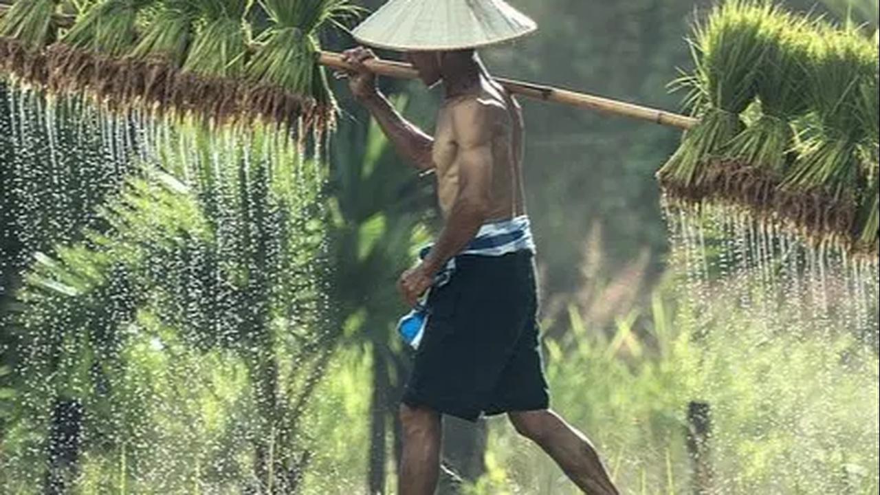 Sering Dipandang Sebelah Mata, 4 Petani Ini Hidup Sukses dengan Omzet Ratusan Juta