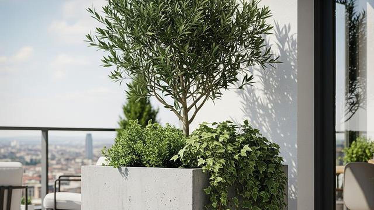 7 Model Pot Bunga dari Tanah Liat hingga Beton: Mana yang Paling Cocok untuk Teras Rumahmu?