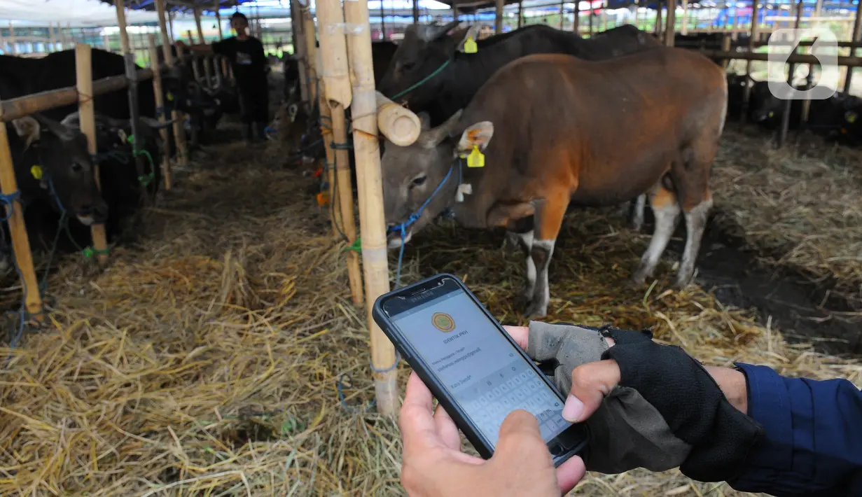 Aplikasi yang dapat diunduh melalui Google PlayStore tersebut menampilkan informasi data seperti unit usaha, pemilik, kandang, kartu ternak, mutasi, pakan, produksi susu, perkawinan, sampai buku lahir hewan ternak. (merdeka.com/imam buhori)