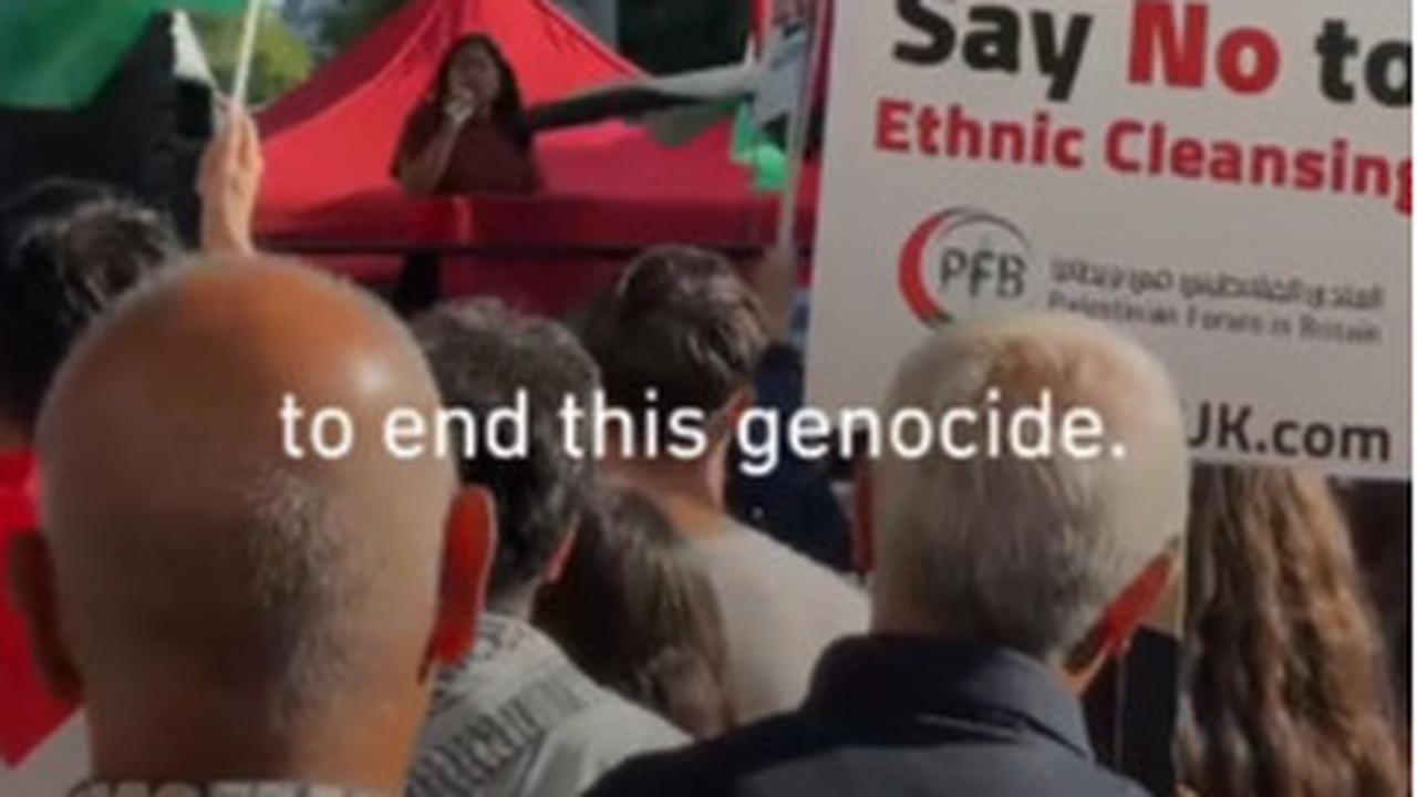 Pro Palestina