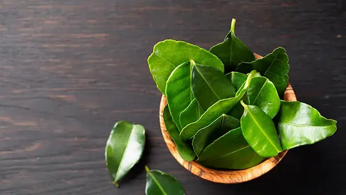 Rahasia Menggunakan Daun Jeruk agar Lebih Wangi dan Sedap untuk Masakan