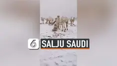 THUMBNAIL SALJU