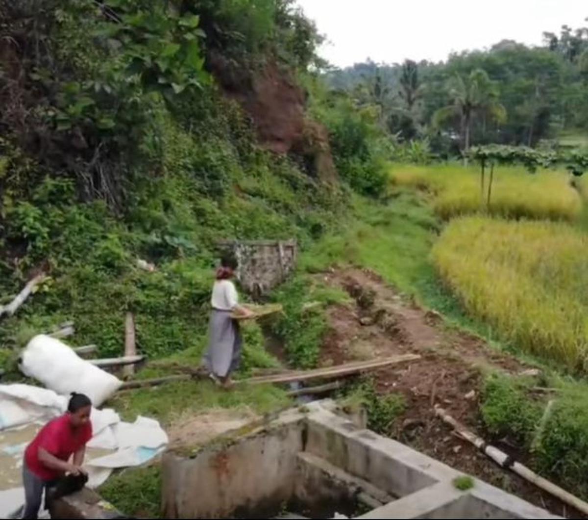 Ditinggalkan kedua orangtua merantau ke kota, kehidupan gadis desa keturunan India ini rela memilih hidup di kampung terpencil.&nbsp;<br>
