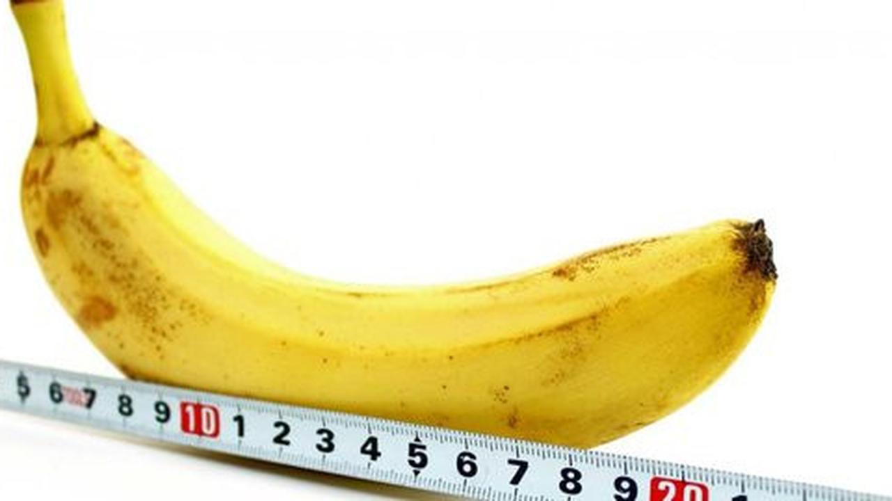 Istri minta cerai karena penis jumbo
