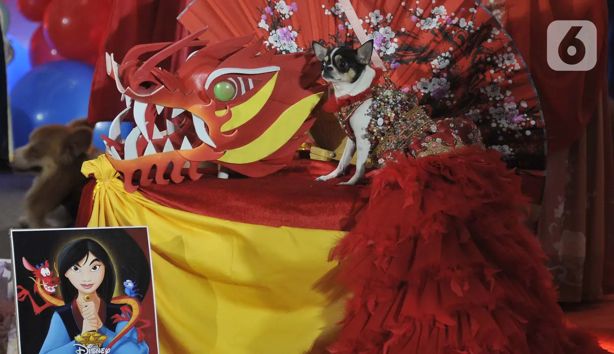 Pesta ulang tahun kedua anjing menggemaskan ini dimeriahkan parade busana yang dihadiri ratusan anjing. (merdeka.com/Imam Buhori)