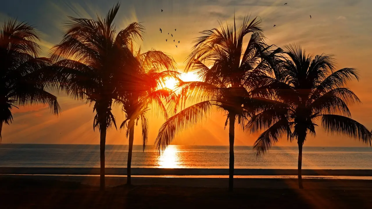 Ilustrasi senja, sunset