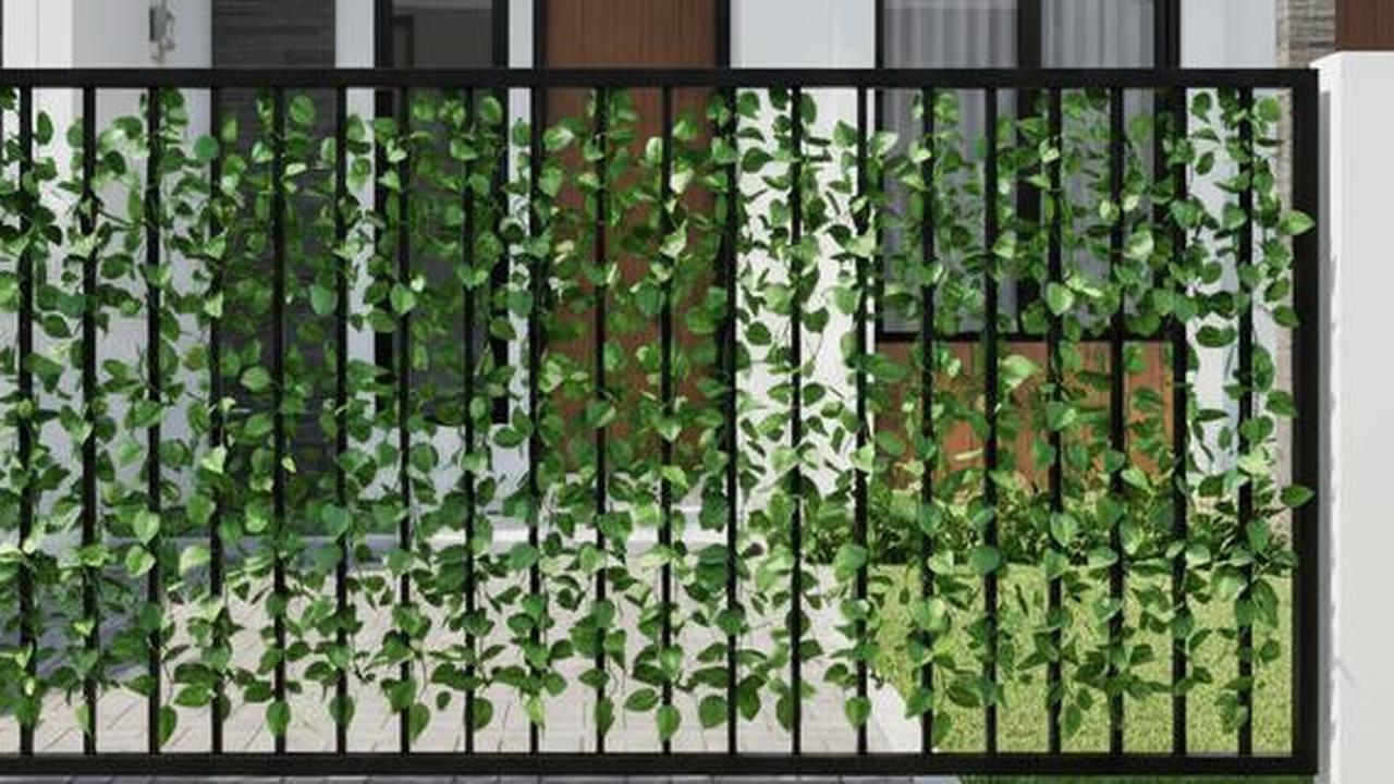 7 Desain Pagar Rumah Besi dengan Tanaman Rambat Hits di Tahun 2025, Bikin Hunian Makin Kece Alami