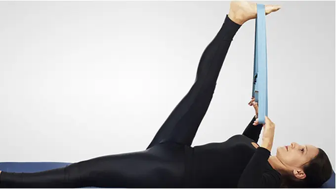 copyright by Shutterstock.com