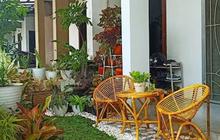 6 Ide Tanaman yang Cocok untuk Vertical Garden Bikin Hunian Nampak Segar dan Asri