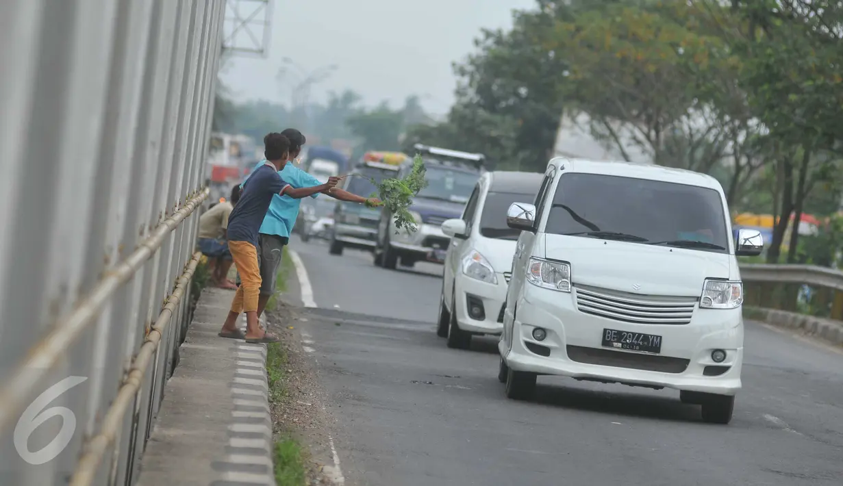 Sejumlah bocah menunggu pengendara yang melintas untuk melempar uang koin di Jembatan Cikalong, Jawa Barat, Sabtu (2/7). Memasuki mudik Lebaran, jumlah pencari uang sedekah di kawasan itu meningkat dibanding hari biasa. (Liputan6.com/Gempur M Surya)