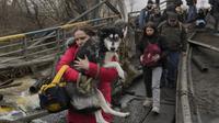 Seorang perempuan memegang seekor anjing saat menyeberangi Sungai Irpin di jalur improvisasi di bawah jembatan saat orang-orang melarikan diri dari kota Irpin, Ukraina, Sabtu, 5 Maret 2022. (AP Photo/Vadim Ghirda)