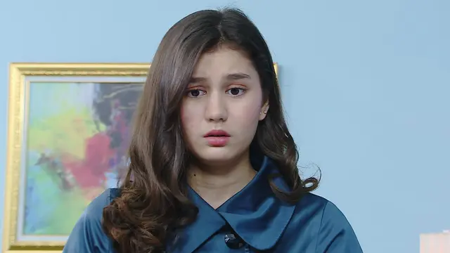 Buku Harian Seorang Istri
