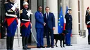 Nemo saat menemani Presiden Prancis Emmanuel Macron menyambut tamu di Istana Elyses, Paris, Prancis (28/8). Nemo merupakan salah satu anjing ras terpopuler di dunia yang dikenal Energik, pandai dan bersahabat. (AP Photo / Francois Mori)