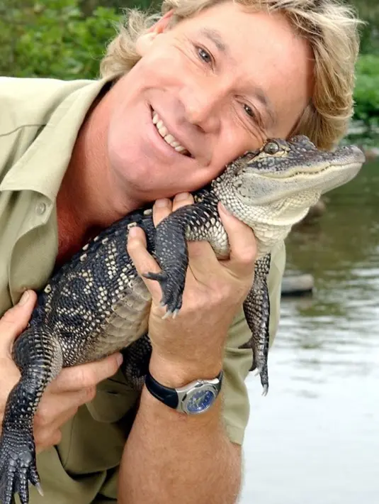 Steve Irwin meninggal pada 4 September 2006. Ia terbunuh oleh ikan pari saat syuting Ocean's Deadliest. (JUSTIN SULLIVAN / GETTY IMAGES NORTH AMERICA / AFP))