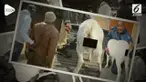 Seorang pria dijatuhi hukuman penjara setelah terbukti memperkosa seekor kambing yang tengah hamil.