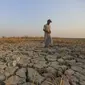 Selama tiga tahun terakhir, kekeringan yang mengakibatkan kekurangan air bagi jutaan orang di Suriah, Irak, dan Iran tidak akan terjadi tanpa adanya perubahan iklim yang disebabkan oleh aktivitas manusia. (AP Photo/Anmar Khalil)