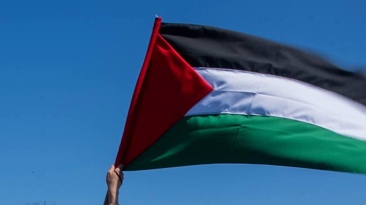 Tak Cuma Ribuan Orang dari Afrika, Warga Irlandia juga Konvoi ke Gaza buat Terobos Blokade Israel