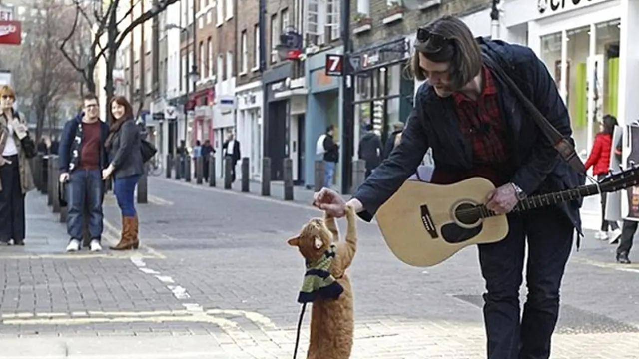 Foto: copyright dailymail.co.uk
