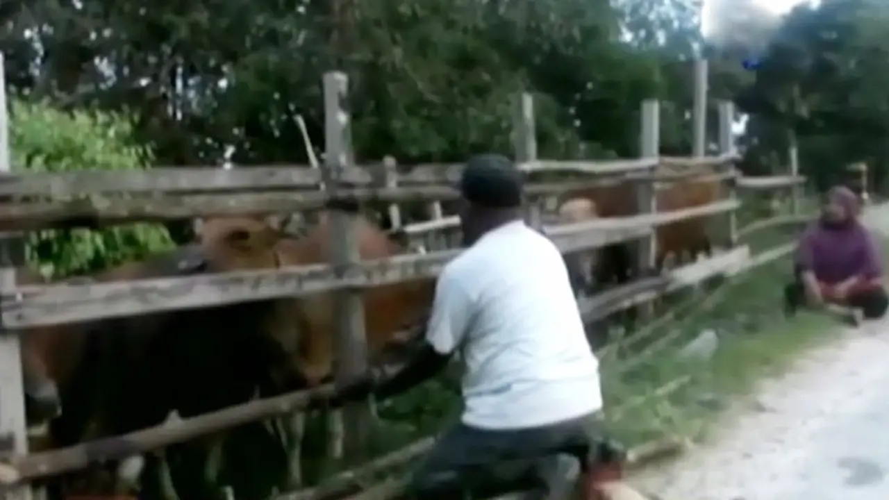 (Lip6 Petang) Banjir-Riau