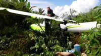 Pesawat Cessna 152 jatuh di semak-semak, sebelum mendarat di Lapangan Terbang Banding Agung, Desa Air Rupik, Kabupaten OKU Selatan, Sumatera Selatan. (Liputan6.com/Raden Fajar)