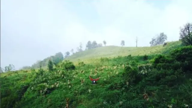 Taman Hutan Raya Raden Soerjo di Kota Batu, Jawa Timur