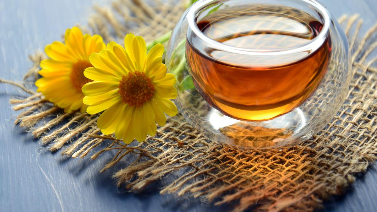 Teh Rooibos: 10 Manfaat Luar Biasa untuk Kesehatan, Dari Mencegah Kanker Hingga Mengendalikan Diabetes