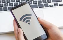 Cara Melihat Sandi WiFi di HP dengan Mudah dan Cepat